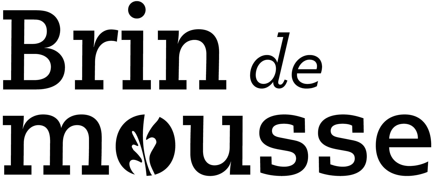 logo Brin de Mousse