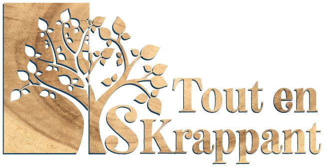 logo Tout en sKrappant