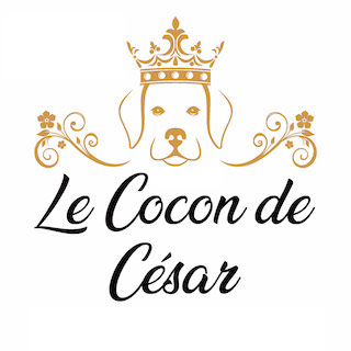logo lecocondecesar