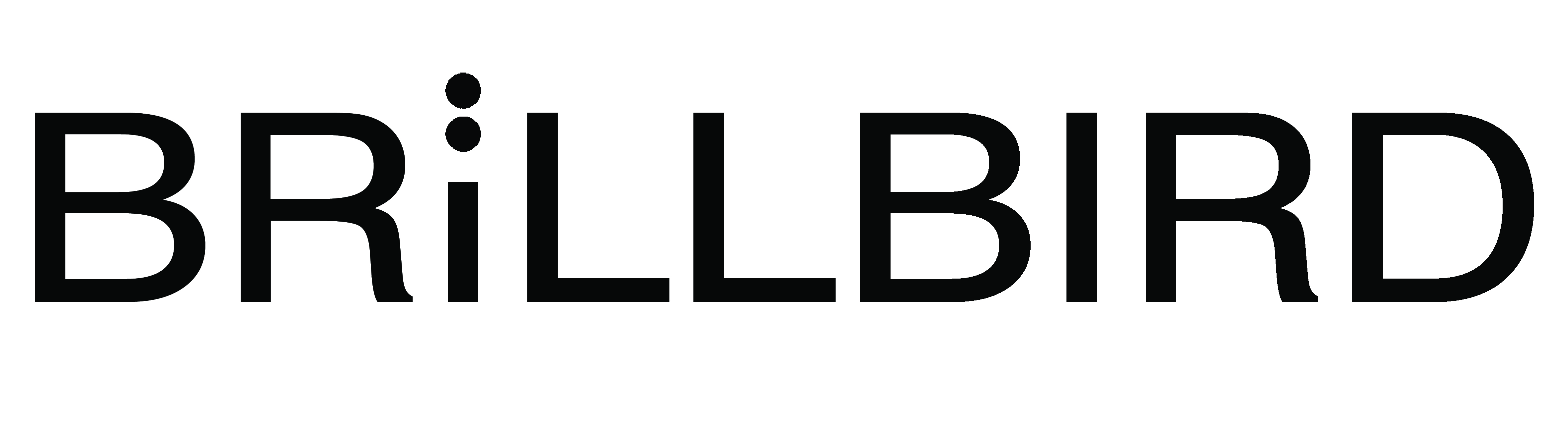 logo BRiLLBIRD
