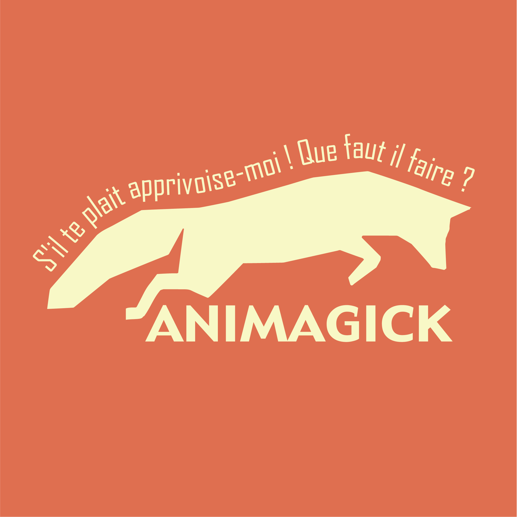 logo Animagick