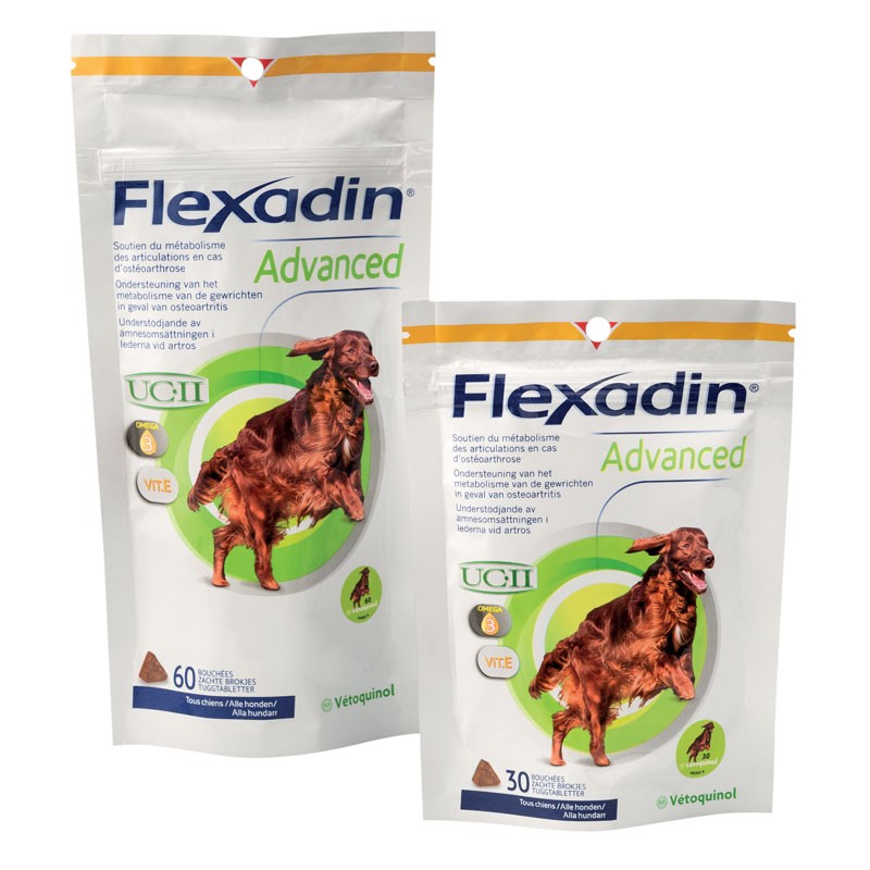 Complément FLEXADIN ADVANCED Chien